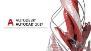 Tải Autocad 2017 full vĩnh viễn